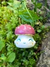 Pink Button Mushroom