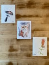 Greeting Card