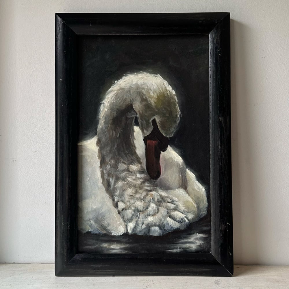 Image of swan 