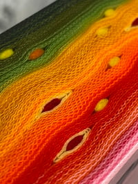 Image 1 of Brook Trout by Mikie