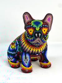 Image 1 of French Bulldog Puppy Vol 3 008