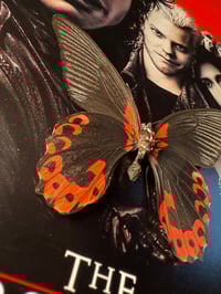 Image 2 of The Lost Boys