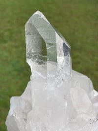 Image 4 of Clear Quartz Crystal Points Cluster #865