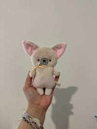 Beige Chi Baby