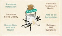Image 1 of Warm Vanilla Bath Bombs SALT FREE