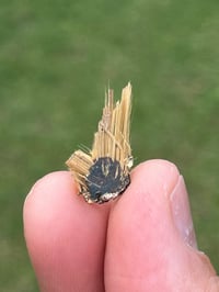Image 1 of Golden Rutile & Hematite Star Specimen|Brazil #3054