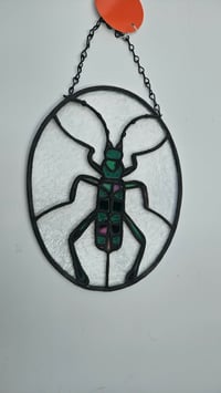 Image 2 of Longhord beetle