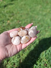 Image 3 of Flower Agate Tumbles