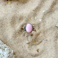 Image 2 of Conch Kiss