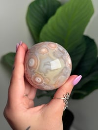 Image 9 of HQ FLOWER AGATE SPHERE -MADAGASCAR- A