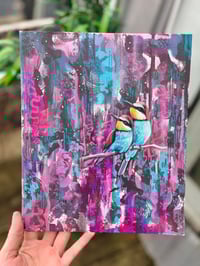 Image 3 of Euro bee eaters 