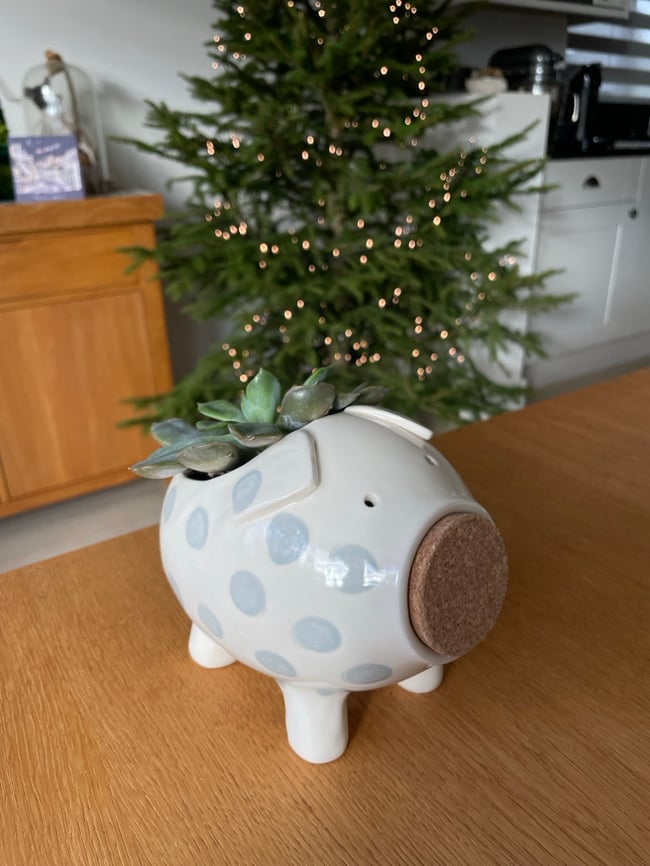 Silver Plant Pot Pig
