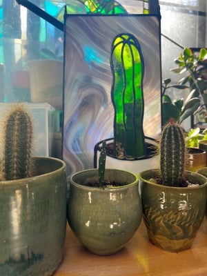 Cactus Cutting in a Porcelain Planter