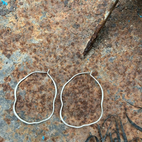 Image of Pendientes Ara plata