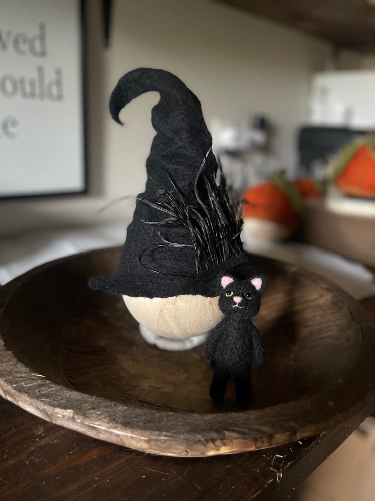 Image of Black cat & witchy-poo hat 