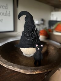 Black cat & witchy-poo hat 