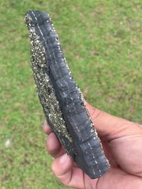 Image 8 of Shungite With Cubic Pyrite Double Sided Specimen #601