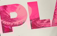 Image 2 of Playful Kittens