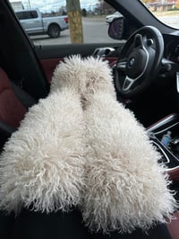 Image 1 of Poodle Boot