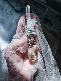 Image 3 of 3/3 payment reserved !! Newborn Parakeet  