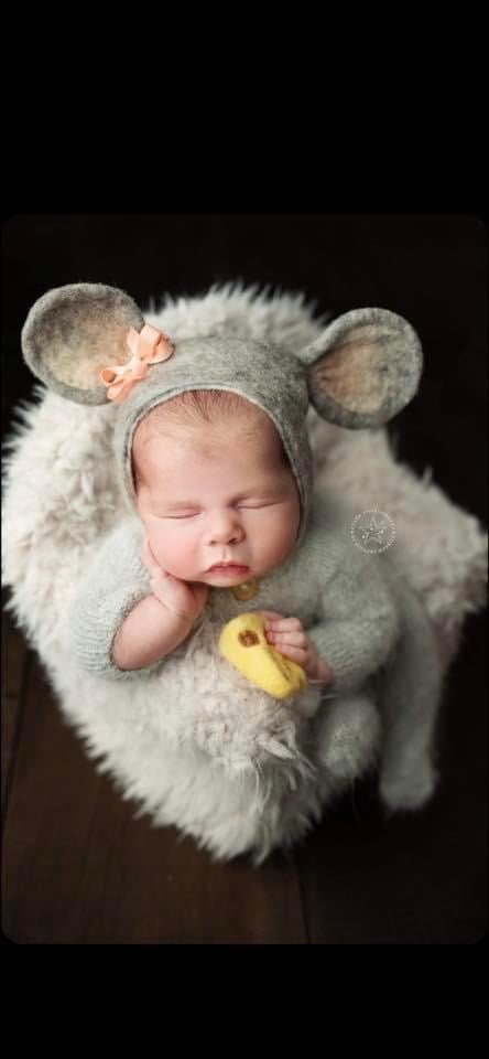 Image of The Quiet Little Mouse 