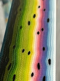 Image 8 of Thin Rainbow Trout V2 by Mikie