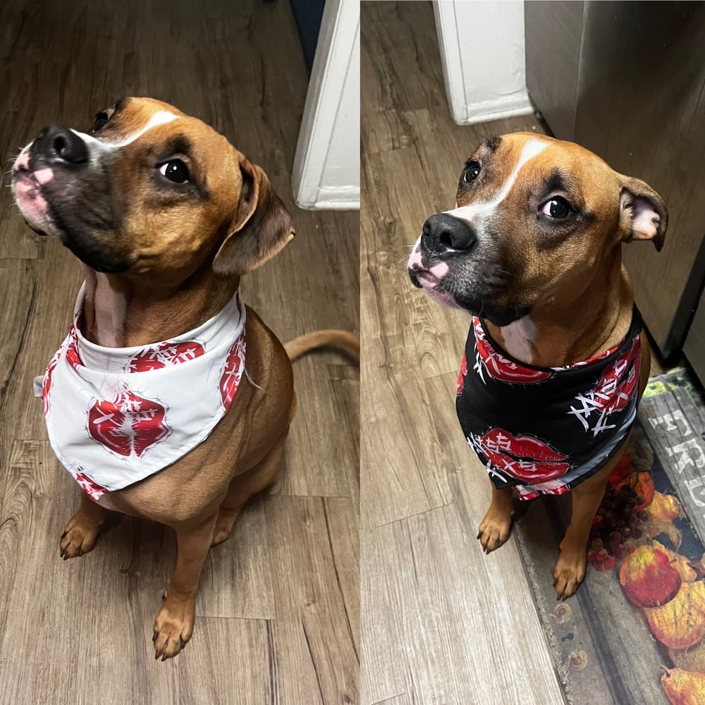 Image of Missfits bandana 