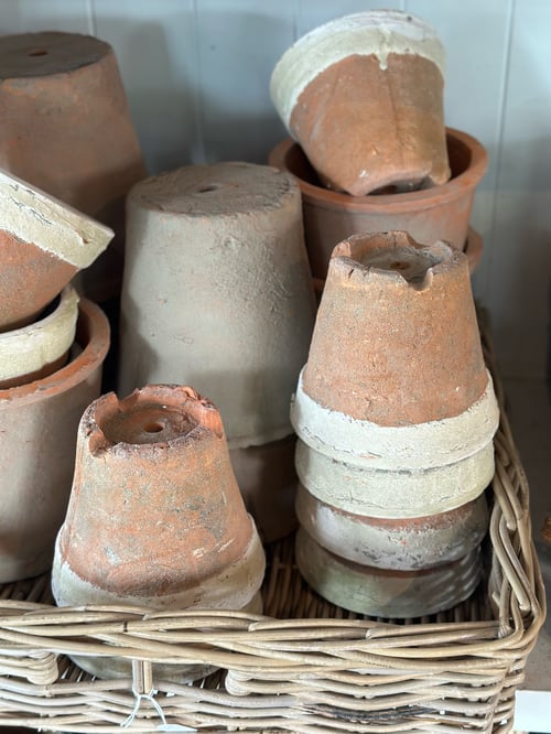 Image of Terracotta Mossy Pot