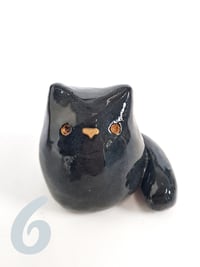 Image 7 of Just a Kitty