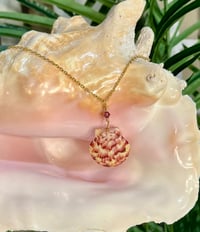 Image 1 of Scallop Shell Necklace N197