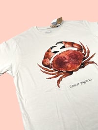 Image 2 of T-shirt GRANCIPORRO