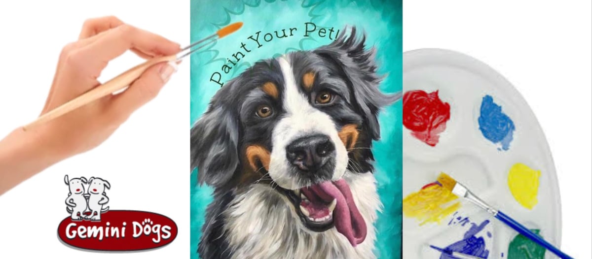 Image of Paint Your Pet Workshop 11/16 Gemini Dogs Littleton, MA