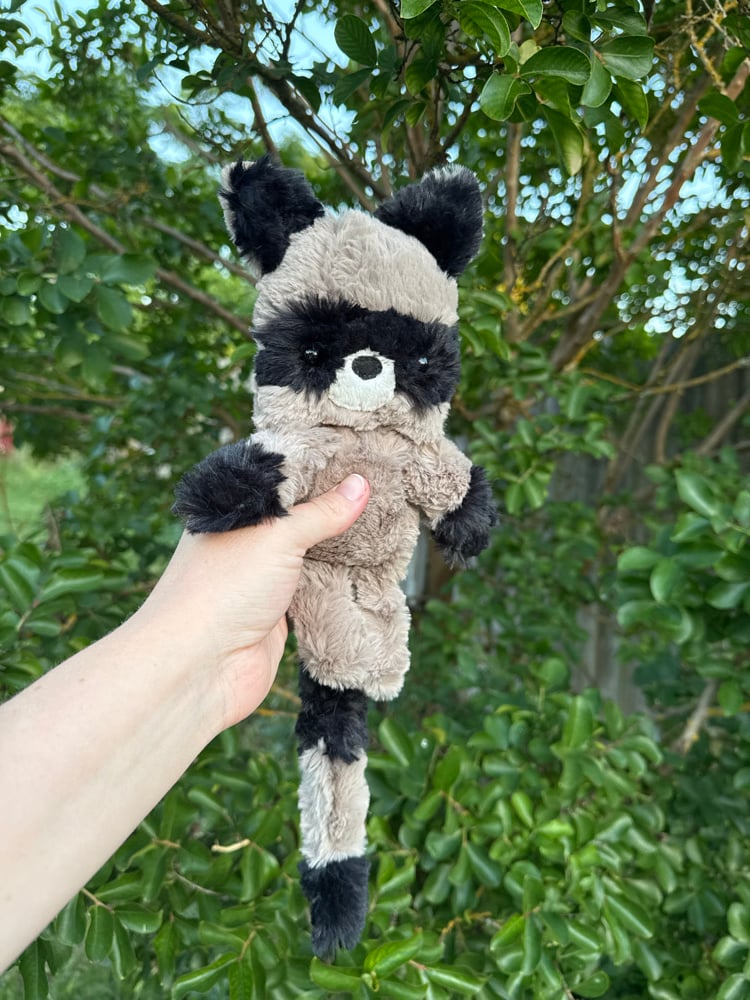 Image of PREORDER floppy raccoon 