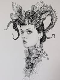 Image 1 of The Guardian 