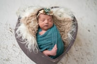 Image 4 of Standard Newborn Session 