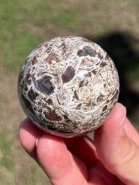 Image 11 of Money Agate Sphere #2834