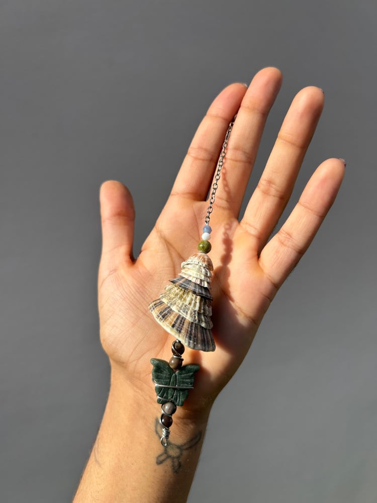 Image of ✧Keyhole Limpet Charm