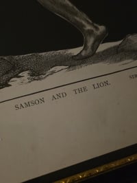 Image 4 of “Samson and the lion” 1800s Bible page with preserved web