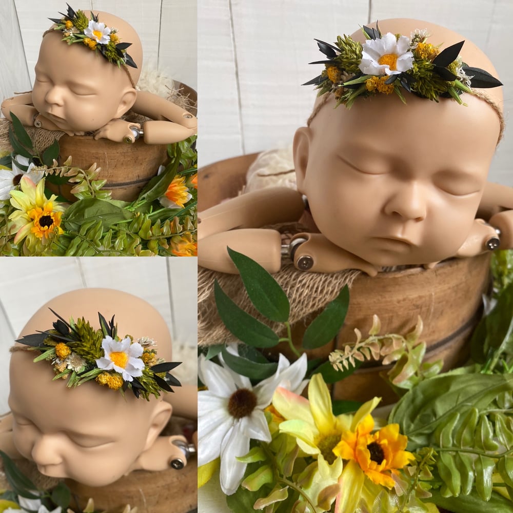 Image of Daisy Crown 