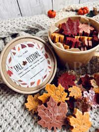 Image 1 of Fall Festival