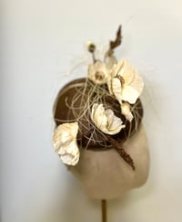 Image 3 of Brown parisisal face hugger