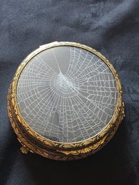 Image 1 of Vintage ornate vanity decorative box with  Real Preserved Web