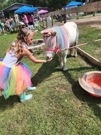 Image 9 of Princess Tea Party, colorful unicorns, princess appearance, snow fall, MORE! 