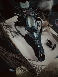 Image 3 of Lilith coyote skull alter piece 