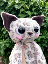 Image 2 of Fifi the Jumbo Kitty