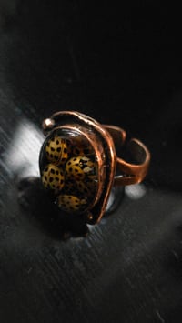 Image 4 of Ladybird mosh pit ring