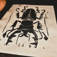 Image 2 of Lucanus 