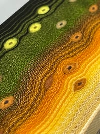 Image 3 of Bull Trout V2 by Mikie