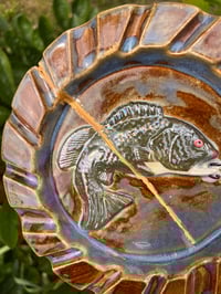 Image 7 of Basshtray