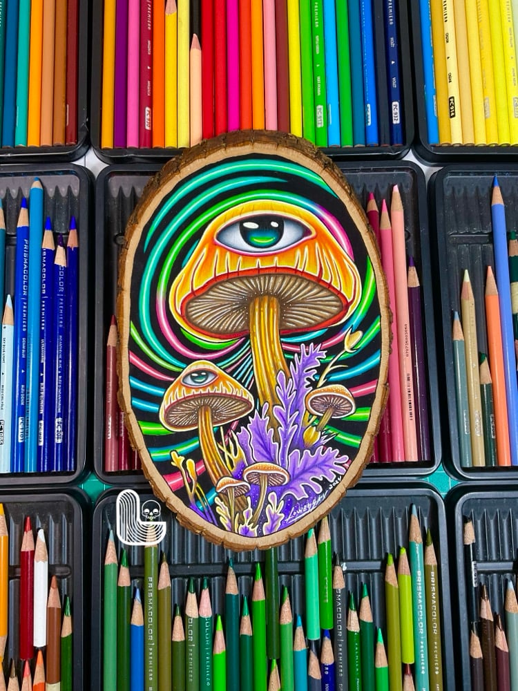 Image of Mushroom Trip